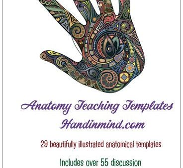 Therapy teaching and learning resource: Anatomy Club Teaching Templates Discount