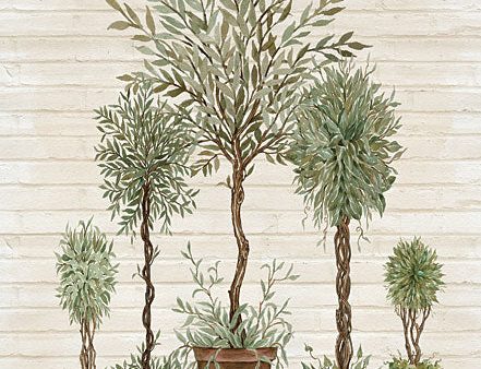 CIN2533 - Potted Tree Collection    - 12x16 Supply