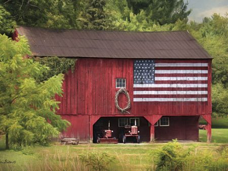 LD668 - Patriotic Farmer - 18x12 For Cheap